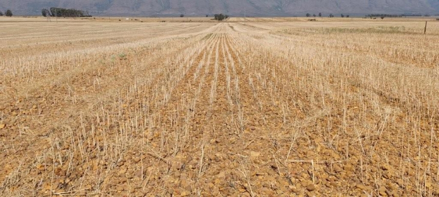 0 Bedroom Property for Sale in Hermon Western Cape